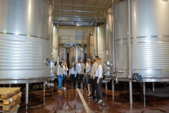 Wine Tasting in the Best Winery in Spain From Alicante - About the Experience