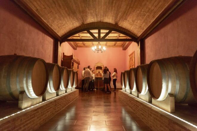Wine Tasting in the Best Winery in Spain From Alicante - Reservation
