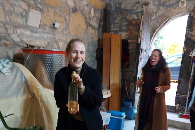 Wine Tasting in the Countryside From Budapest - Additional Tour Info