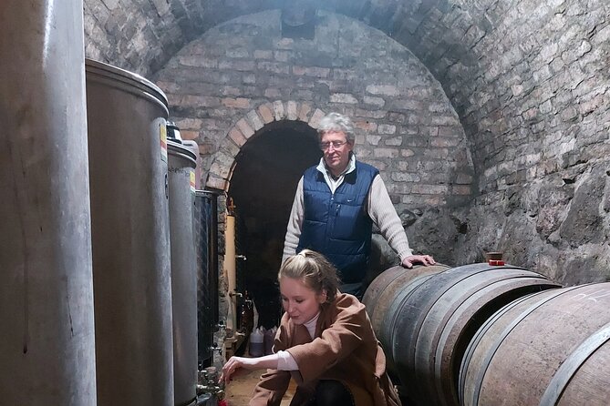 Wine Tasting in the Countryside From Budapest - Reviews and Ratings