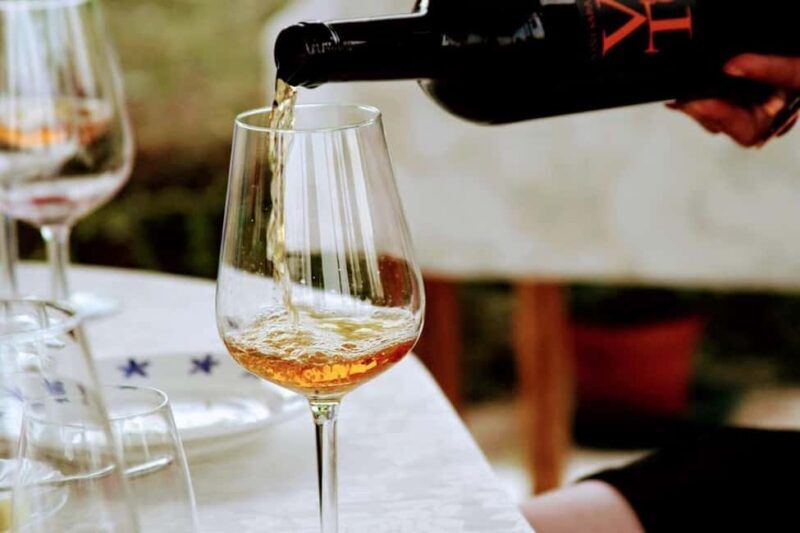 Wine tasting in the family cellar - What to Expect from the Veneto Family Winery Tour