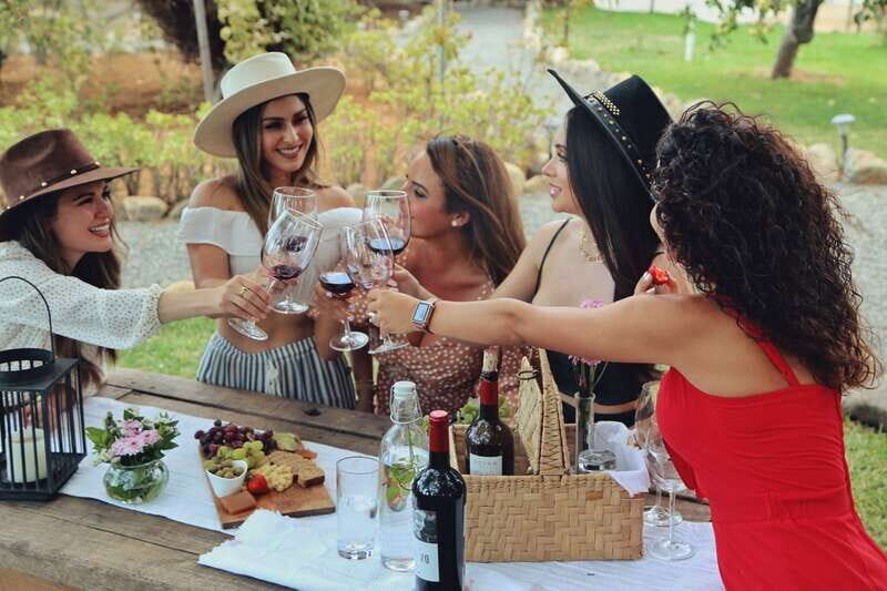 Wine Tasting in the Gardens at Rondo del Valle with vineyard - Introduction