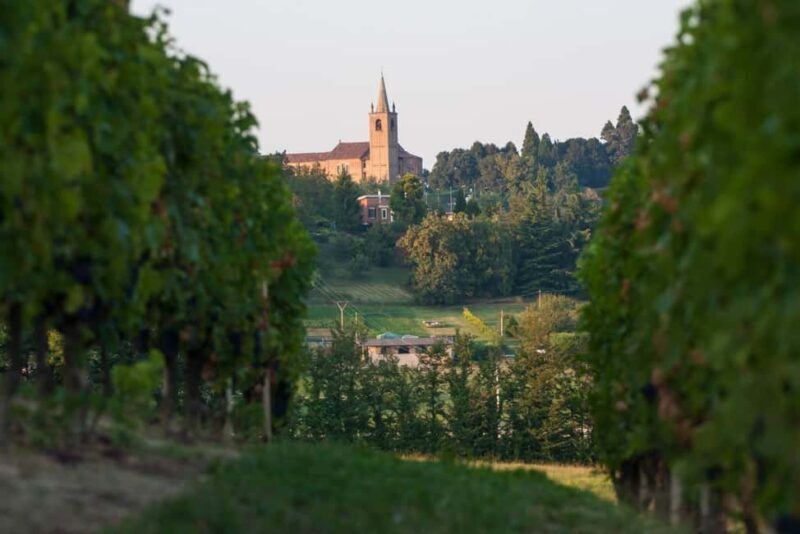Wine Tasting in the Heart of Monferrato - Discovering Grignolino - The Practical Side: Value and Logistics