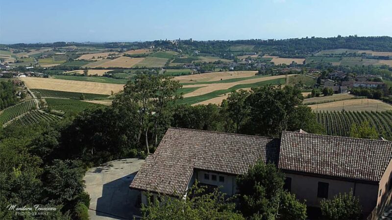 Wine Tasting in the Heart of Monferrato - Premium - Exploring the Monferrato Winery and Infernot