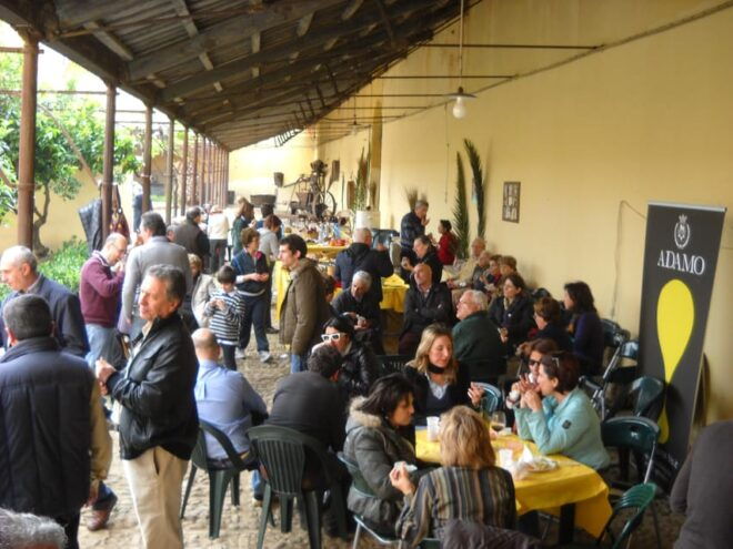 Wine Tasting in the Historic Baglio Florio Adamo - Historical Significance