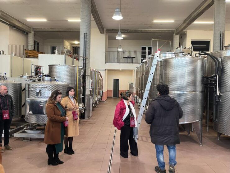Wine Tasting in the South Slope of Etna - Wine Tasting Experience at Etna