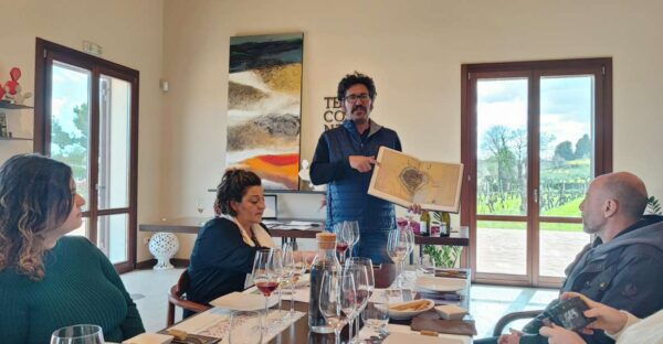 Wine Tasting in the South Slope of Etna - The Sum Up