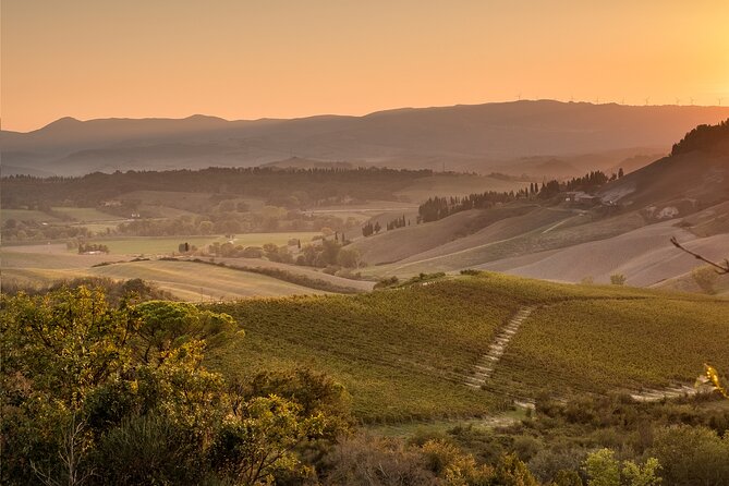 Wine Tasting in Tuscany - Booking Process