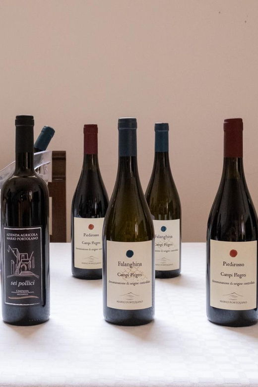 Wine Tasting in Winery from Naples - Practical Aspects and Value