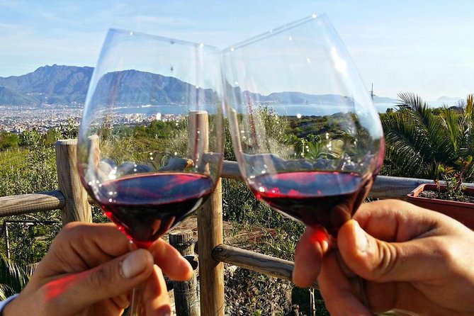 Wine Tasting Lunch on Mt. Vesuvio Halfday 4h From Naples Sorrento Amalfi Coast - Tour Highlights