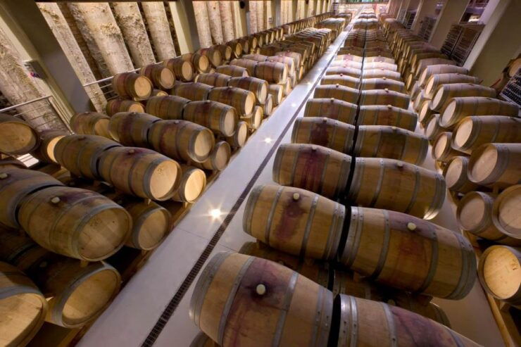 WINE TASTING LUXURY TOUR - TENUTA FEUDI DI SAN GREGORIO - Good To Know