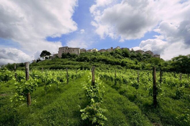 WINE TASTING LUXURY TOUR - TENUTA FEUDI DI SAN GREGORIO - Itinerary