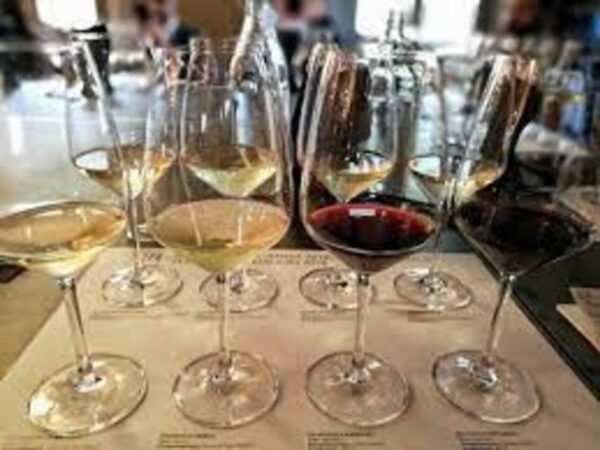 WINE TASTING LUXURY TOUR - TENUTA FEUDI DI SAN GREGORIO - Frequently Asked Questions