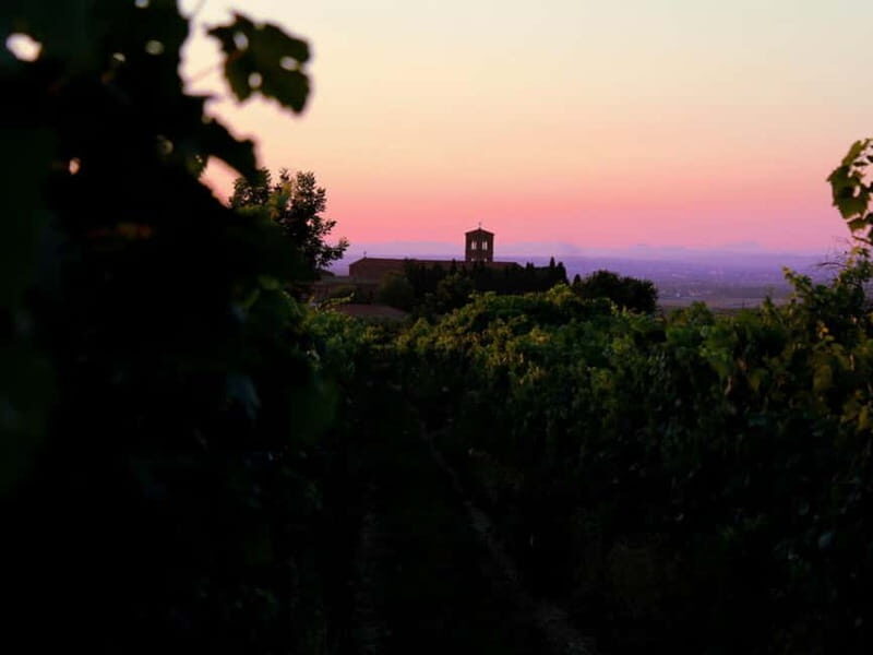 Wine Tasting & Medieval Town Visit at Castelli Romani - The Sum Up