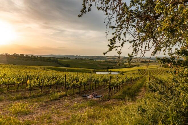 Wine Tasting of Brunello in a Historic Cellar - Cancellation Policy and Highlights