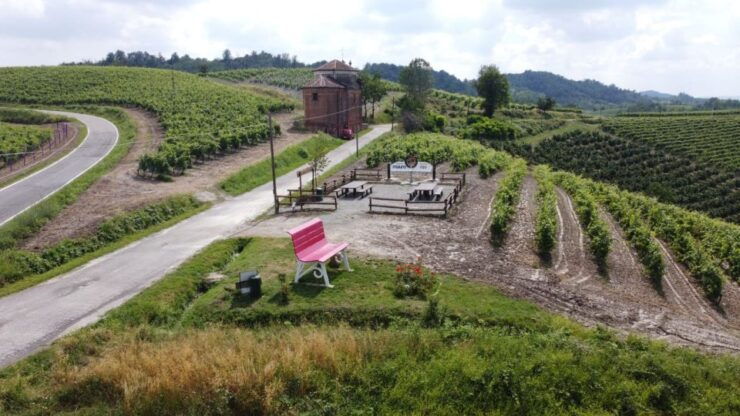 Wine Tasting of Monferrato Wines With a Visit to the Winery - Activity Details