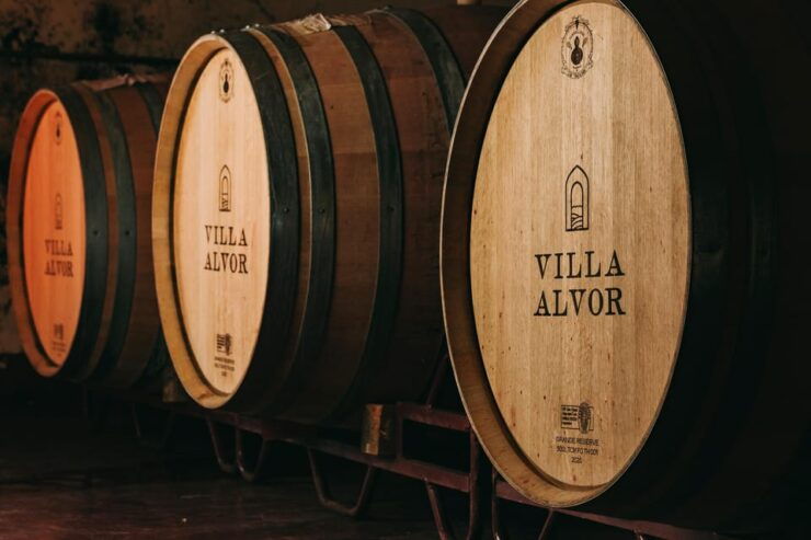 Wine Tasting Off-Road Tour - Experience Highlights