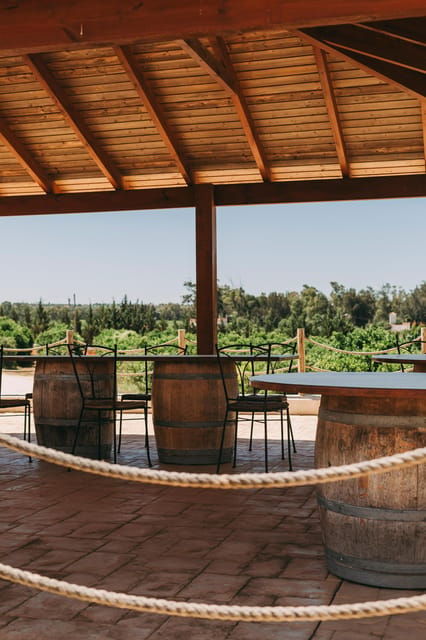 Wine Tasting Off-Road Tour - Taste Algarve Wines