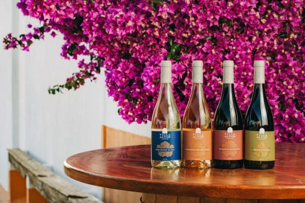 Wine Tasting Off-Road Tour - Frequently Asked Questions