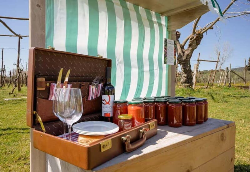 Wine Tasting on Mt. Vesuvius - The Sum Up