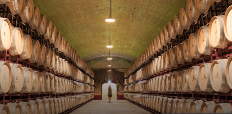 Wine Tasting - Private Half-Day Tour - The Sum Up