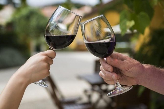 Wine Tasting - Private Half-Day Tour - Tour Description