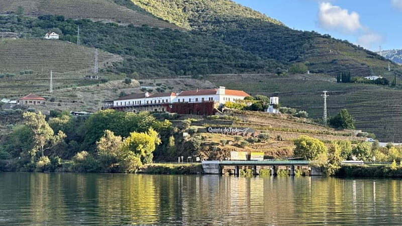 Wine Tasting QT textures of Rosé - Sunset vibe - Estate and Vineyard Insights