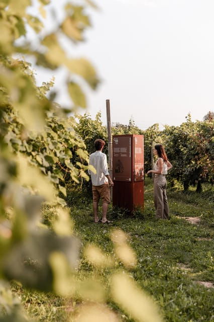 Wine Tasting: the Flavors of the "Prosecco Hills" - Accessibility and Location