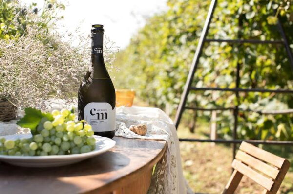 Wine Tasting: the Flavors of the "Prosecco Hills" - Unique Prosecco Varieties