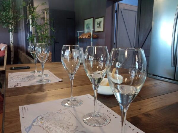 Wine Tasting: the Flavors of the "Prosecco Hills" - Tips for Your Visit