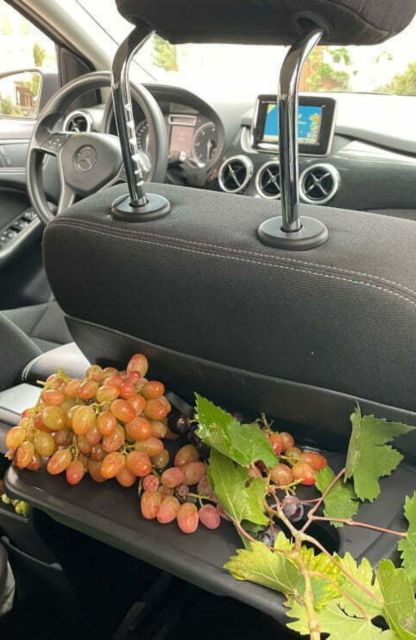 Wine Tasting Tour - Tour Description