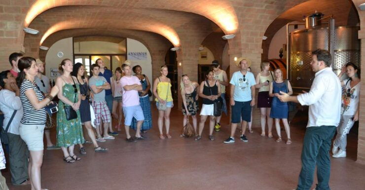 WINE TASTING TOUR - Tour Details
