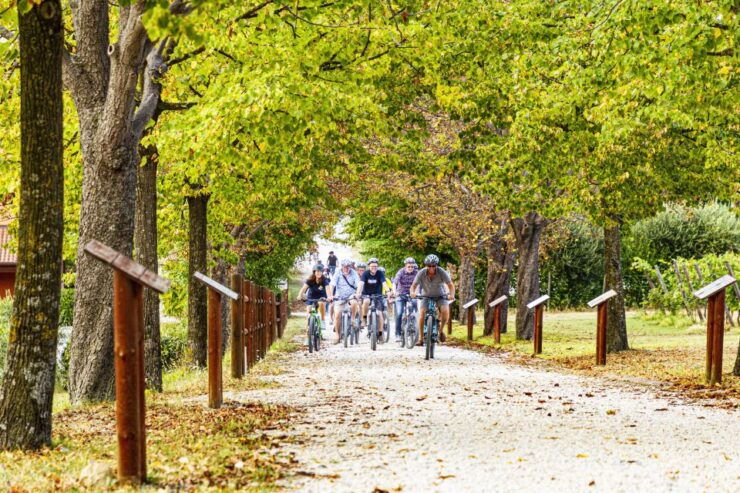 WINE TASTING TOUR - Booking Information