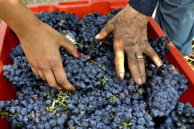 WINE TASTING TOUR - Customer Reviews