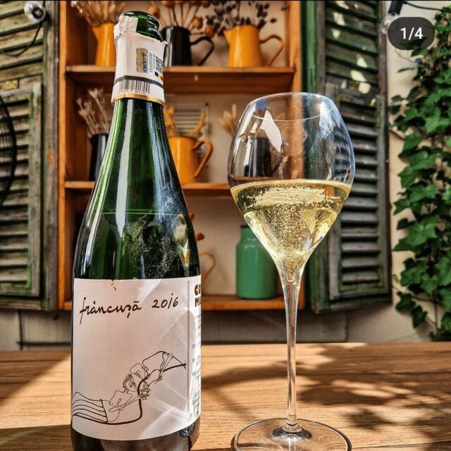 Wine tasting tour - Bucharest - A Taste of Romania: Wine Tasting Tour in Bucharest