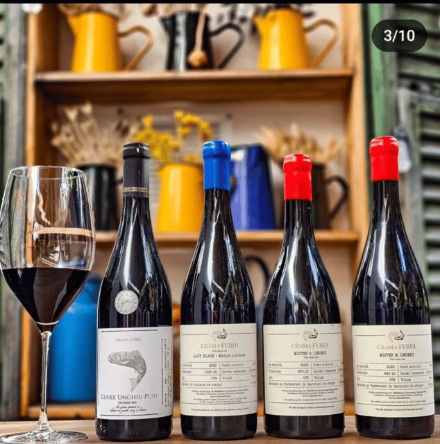 Wine tasting tour - Bucharest - Why This Tour Works Well