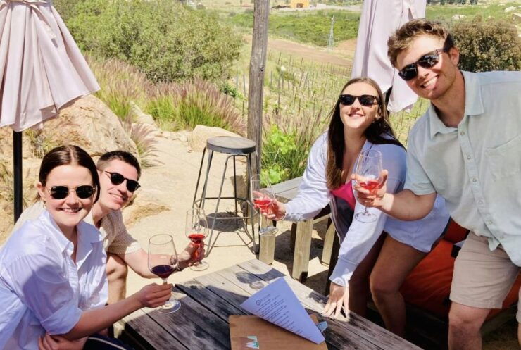 Wine Tasting Tour for Cruise Ship Visitors. All Inclusive! - Booking Details