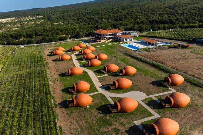 Wine Tasting Tour From Tbilisi to Kakheti Signaghi and Chateau - Good To Know