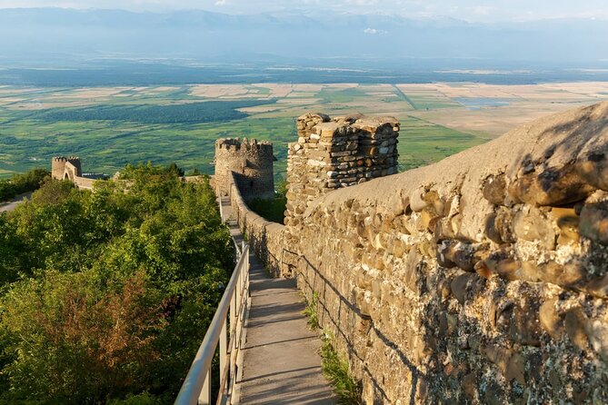 Wine Tasting Tour From Tbilisi to Kakheti Signaghi and Chateau - Participant Requirements