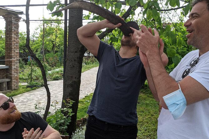 Wine Tasting Tour in Georgias Cradle of Wine - Pricing and Inclusions