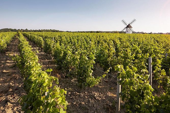 Wine Tasting Tour in Loire Valley With Castle Visits and Lunch - Château Damboise Visit