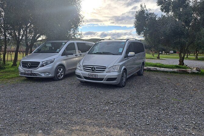 Wine Tasting Tour in Napier Region - Good To Know