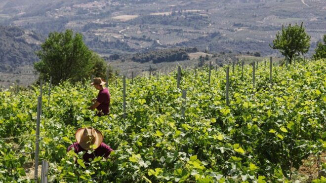 Wine Tasting Tour in Nemea and Visit Tour in Nafplio - Logistics Information