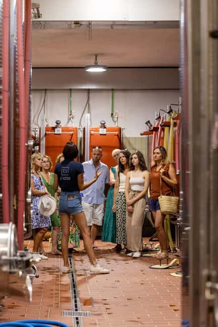 Wine tasting tour - Le Pradet - Exploring the Wine Tasting Tour in Le Pradet