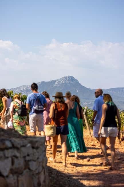 Wine tasting tour - Le Pradet - Why This Tour Works for Travelers