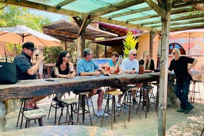 Wine Tasting Tour ONLY for Cruise Ship Visitors. ALL INCLUSIVE! - The Experience and the Guides