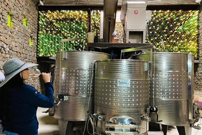 Wine Tasting Tour ONLY for Cruise Ship Visitors. ALL INCLUSIVE! - Practical Details: Timing and Transport