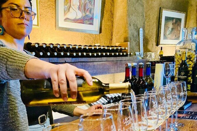 Wine Tasting Tour ONLY for Cruise Ship Visitors. ALL INCLUSIVE! - Final The Sum Up