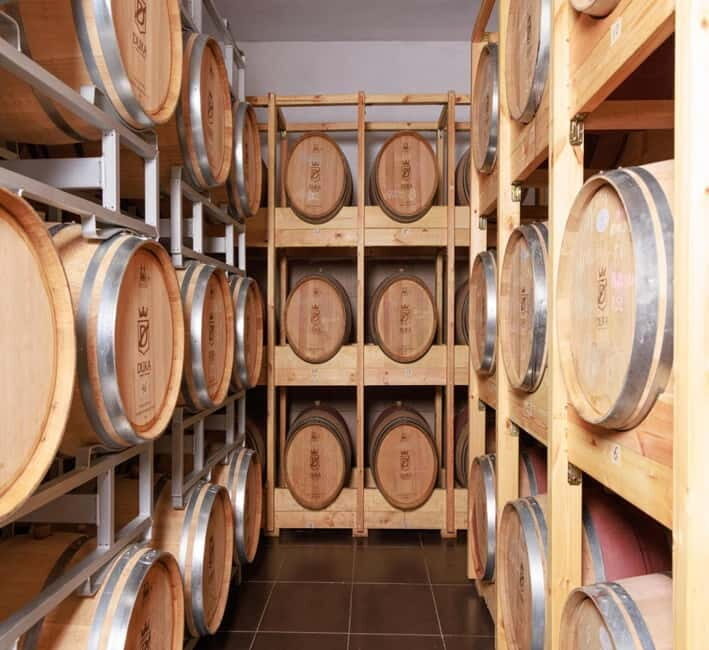 Wine tasting tour, Optional wine yard tour and kayak rides - A Deep Dive into the Albanian Wine Tasting Experience