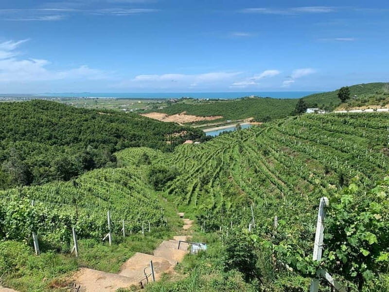 Wine tasting tour, Optional wine yard tour and kayak rides - FAQs